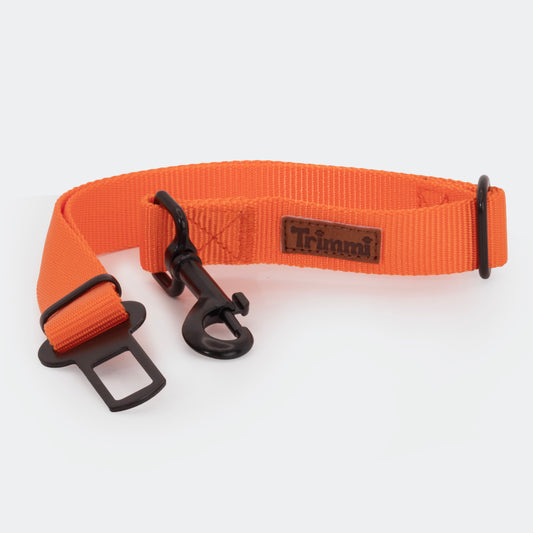 Nylon autogordel oranje