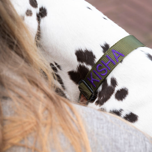 Nylon halsband groen