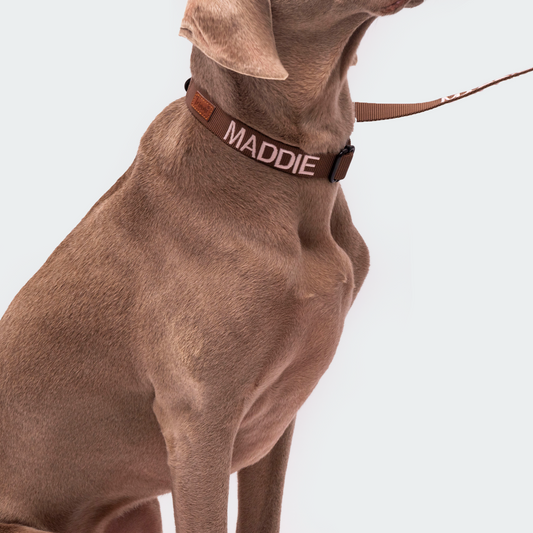 Nylon riem bruin