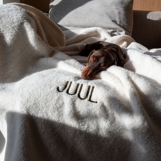 Teddy blanket