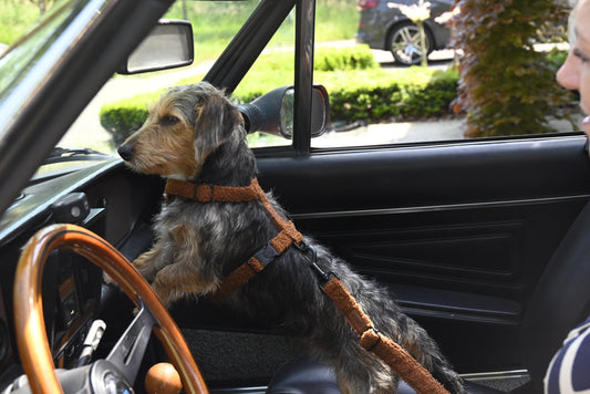 Trimmi Default Title Trimmi Teddy autogordel bruin