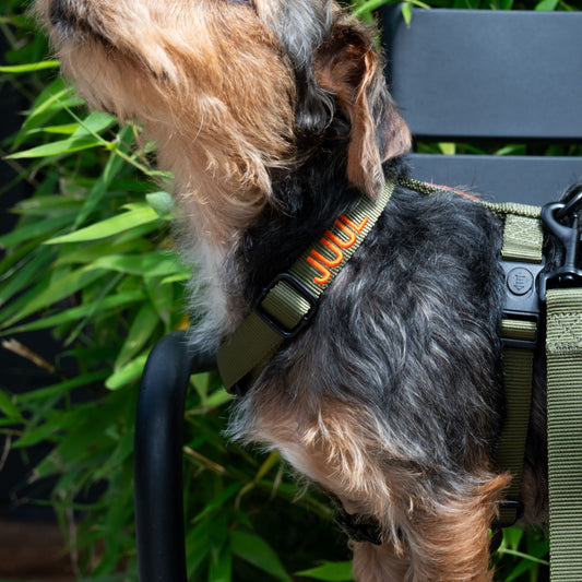 Trimmi S / Nee Trimmi Nylon tuigje groen