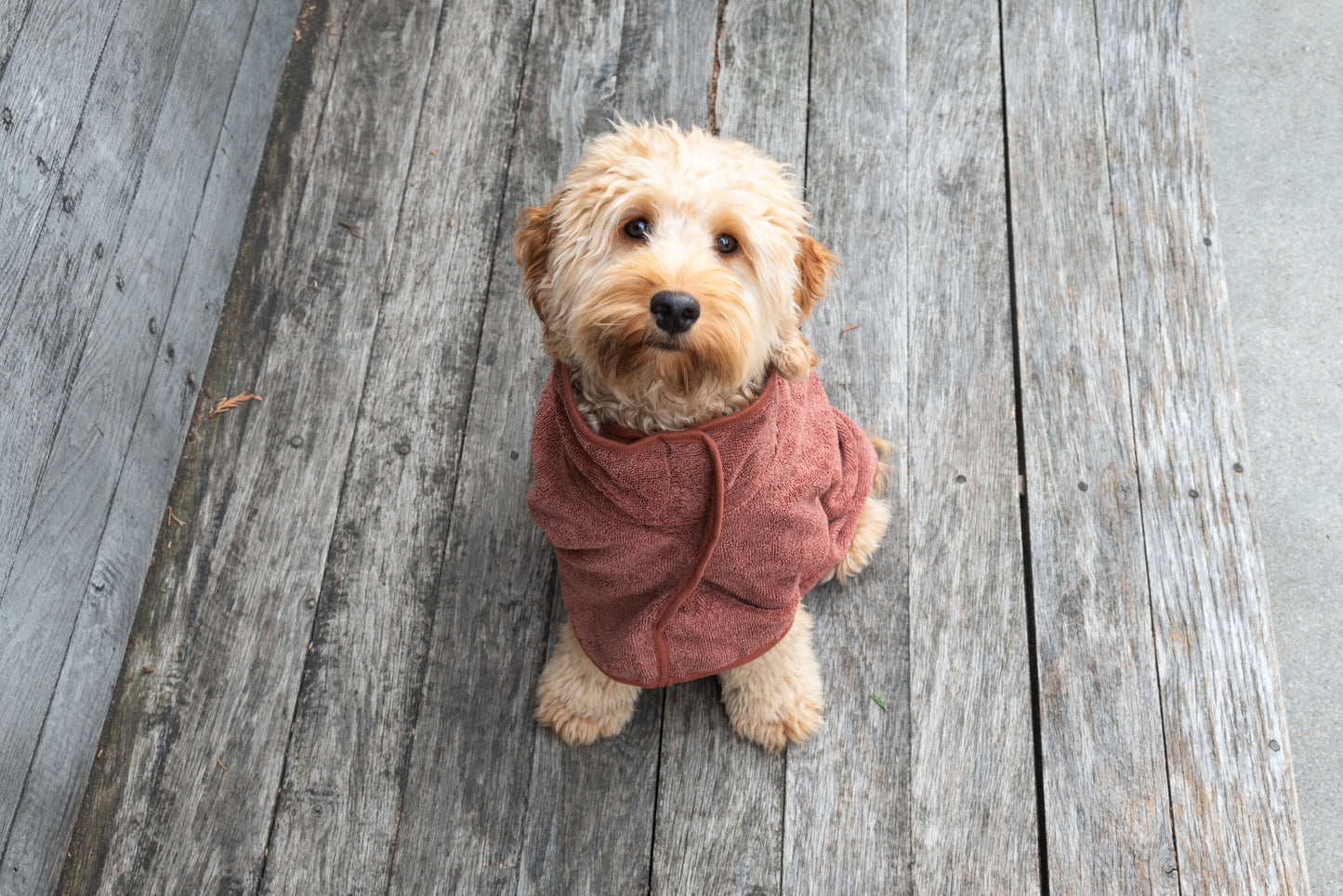 Bathrobe brown