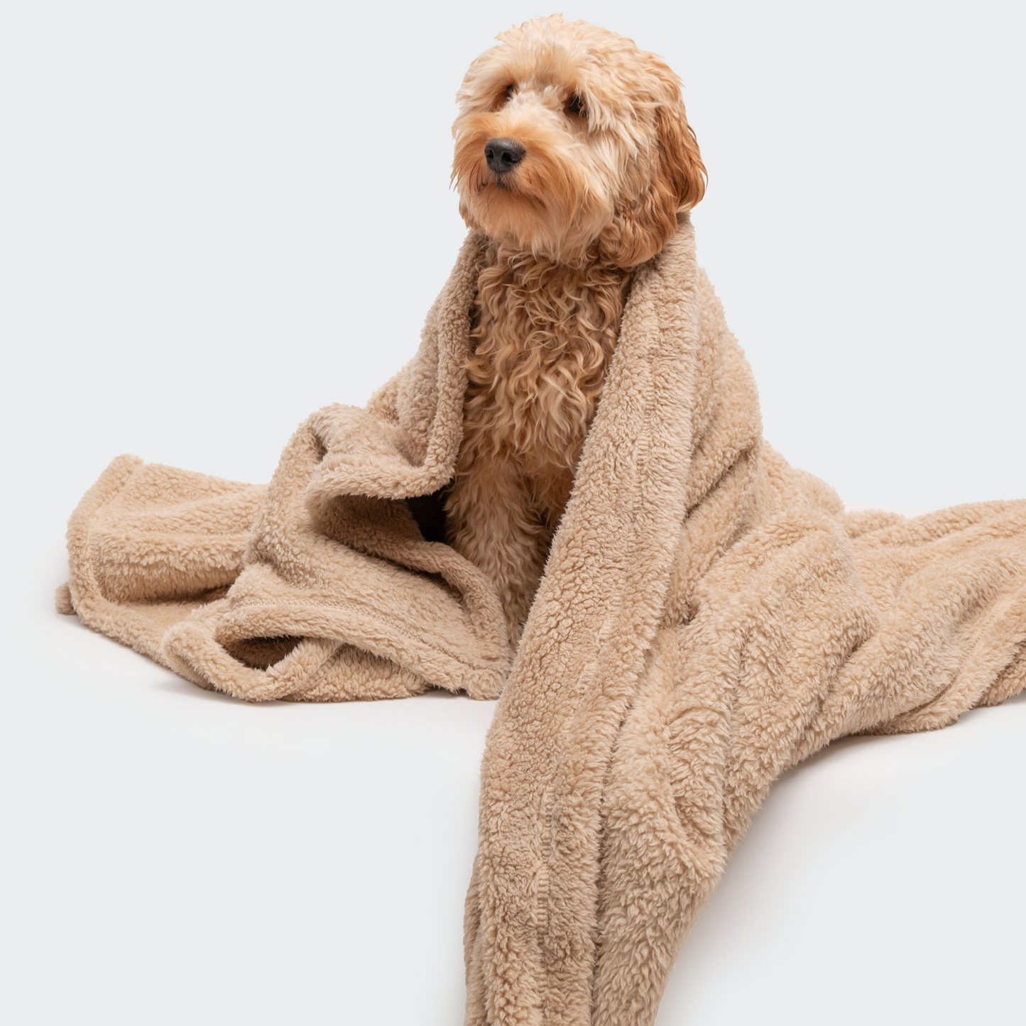 Teddydecke