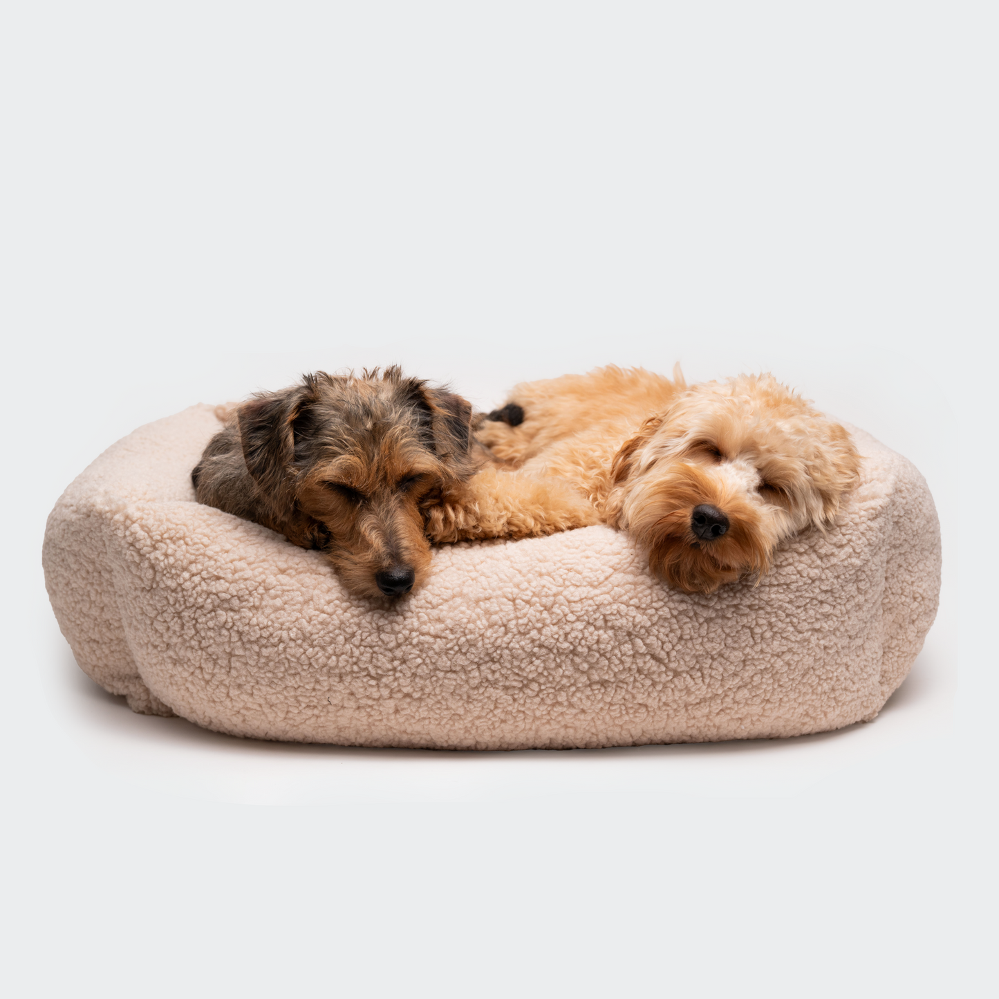 Hundebett Teddy