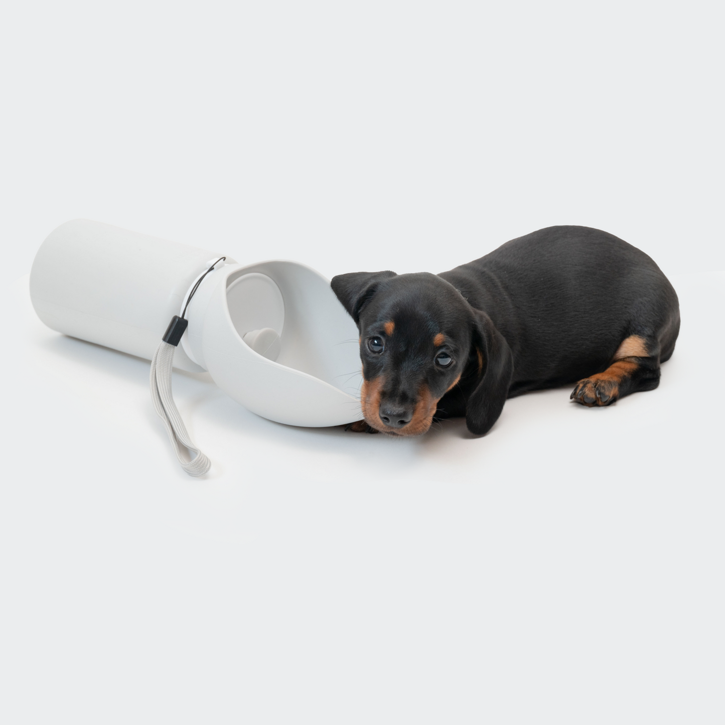 Drinking bottle on the go