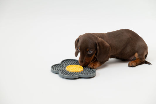 Trimmi Grijs Trimmi Likmat Bloem