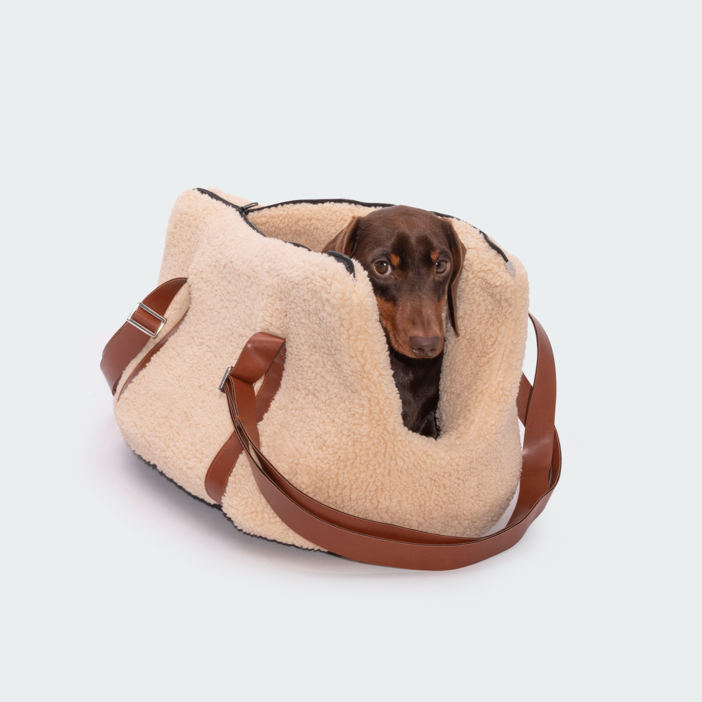 Teddy carrier bag