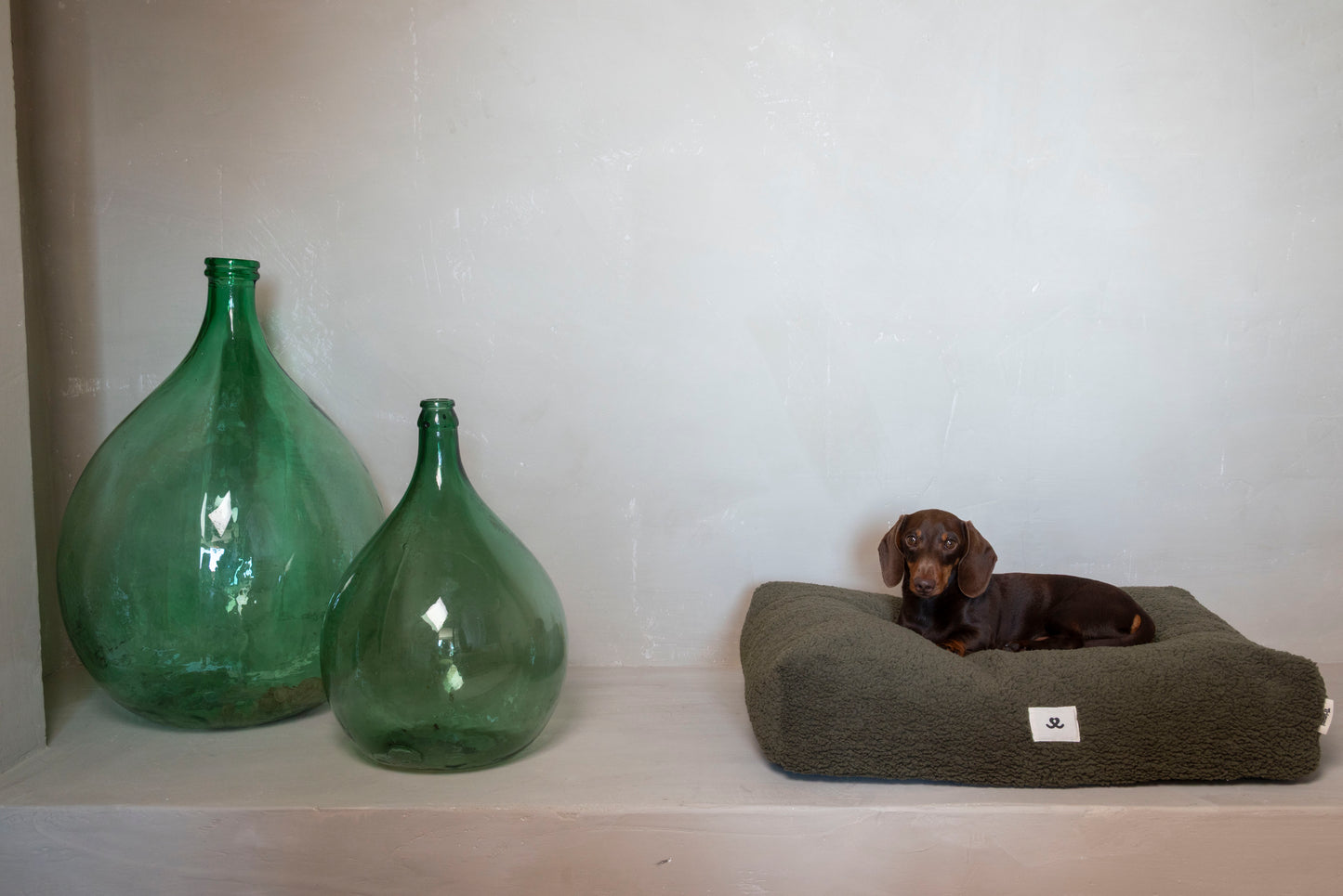 Teddy dog bed olive