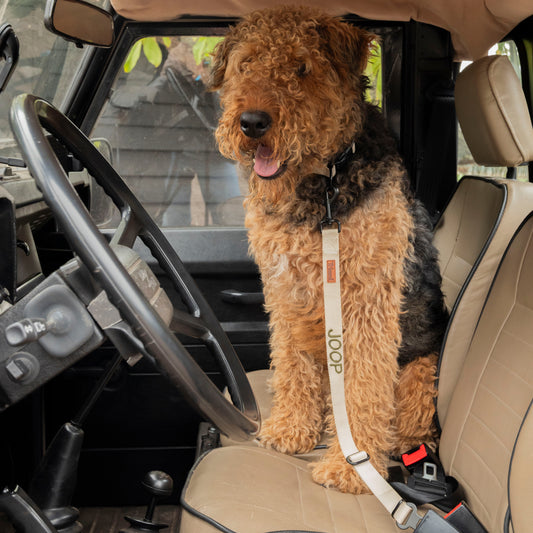 Nylon autogordel zand