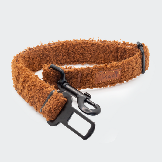 Teddy autogordel bruin