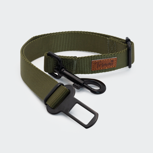 Nylon autogordel groen