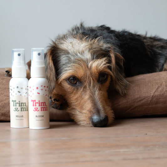 Trimmi Default Title Trimmi Parfum Bellus