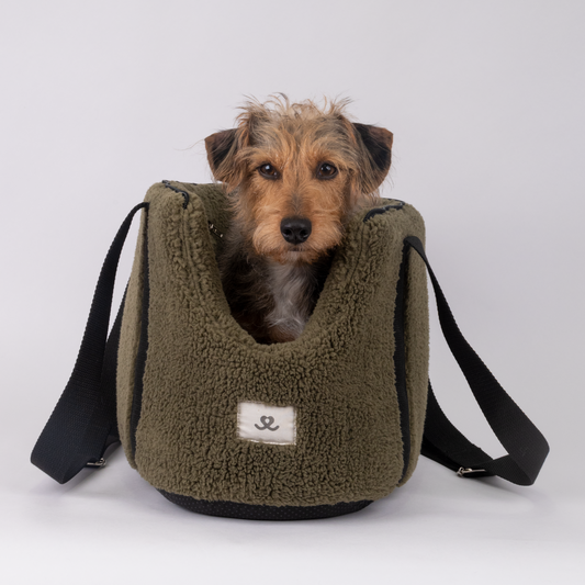 Teddy draagtas olive