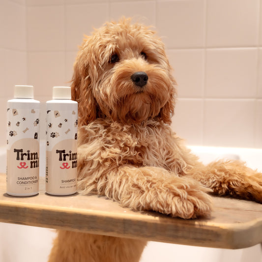 Trimmi Default Title Trimmi Shampoo & Conditioner – 2 in 1
