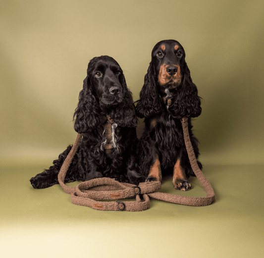 Teddy halsband taupe