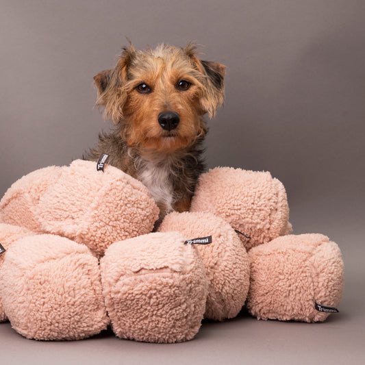 Teddy cube