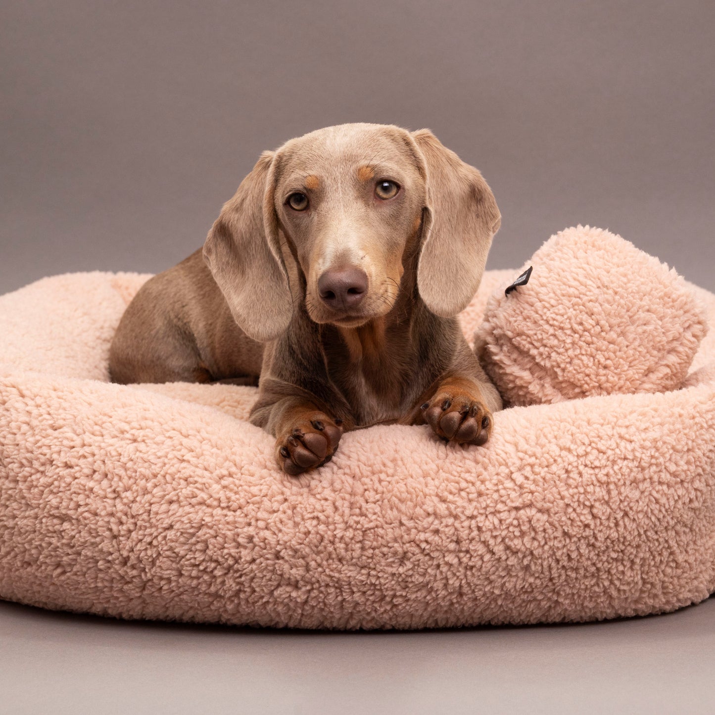 Hundebett Teddy rosa