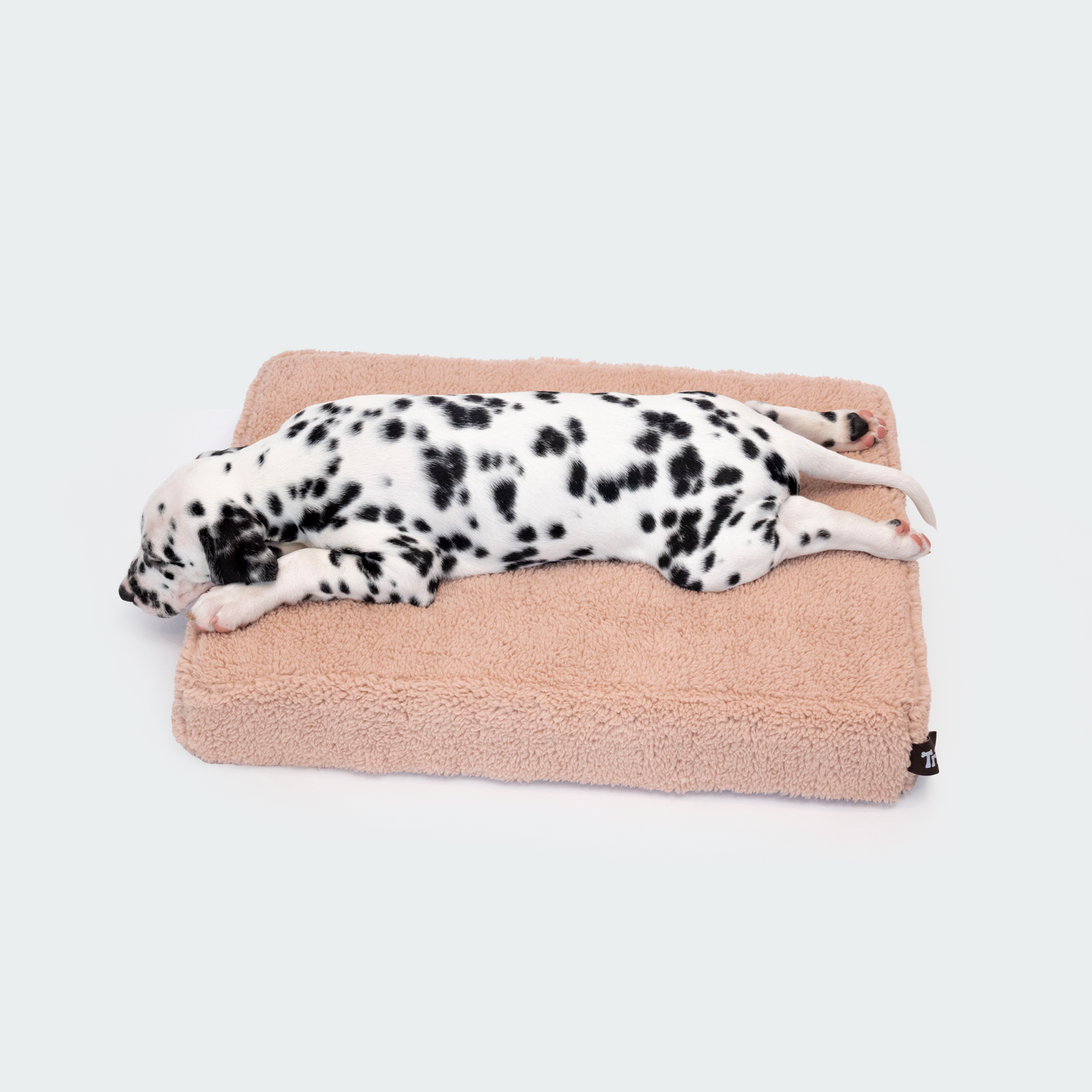 Orthopädisches Hundebett Teddy