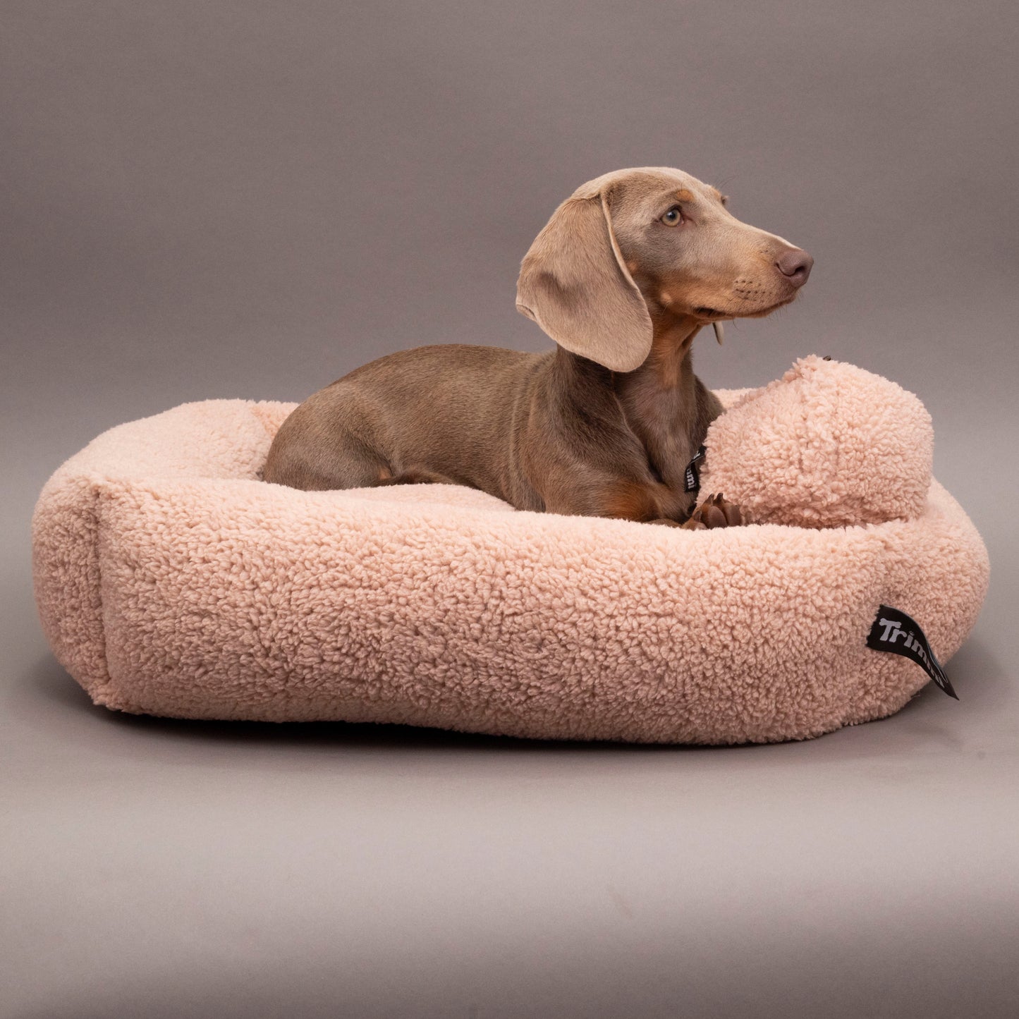 Teddywürfel