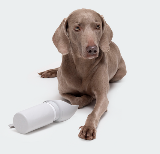 Drinking bottle on the go