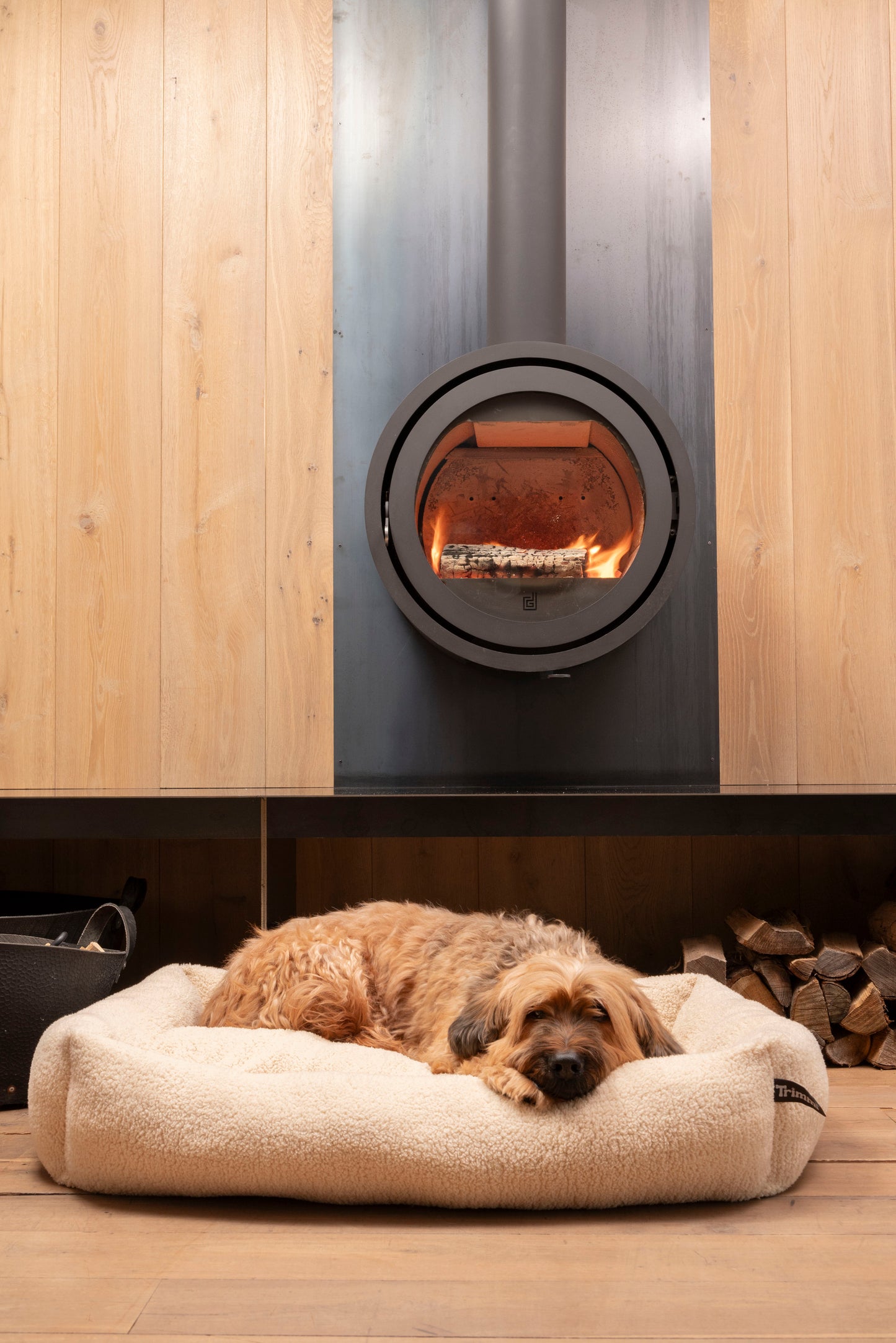 Teddy dog bed