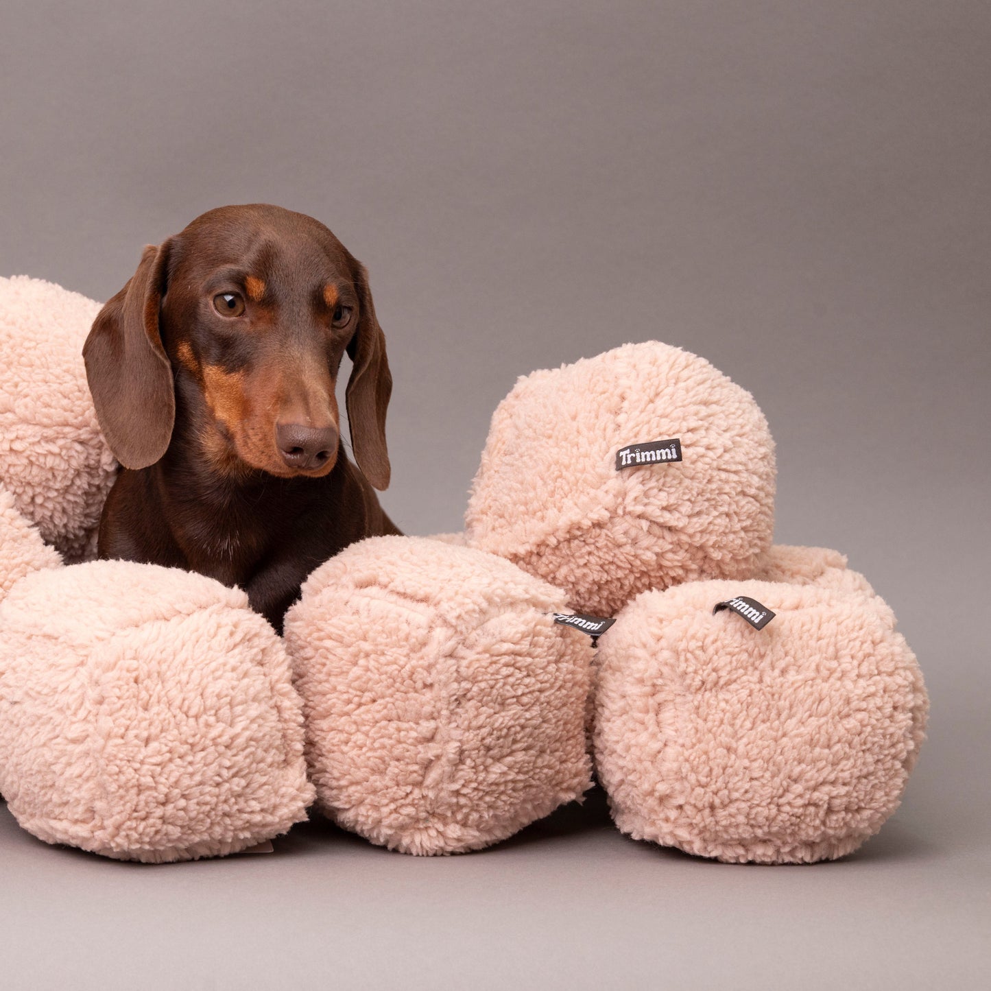 Teddywürfel