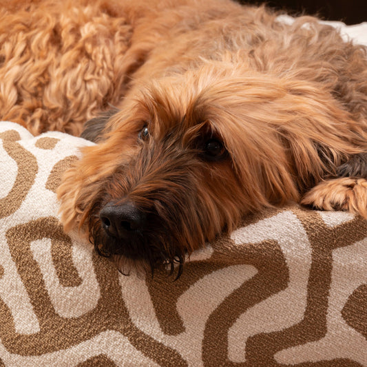 Trimmi M Trimmi Poef bouclé