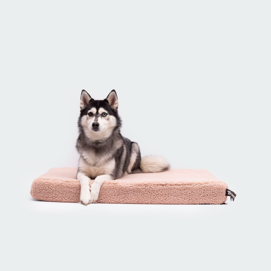 Orthopedisch hondenkussen teddy rosé