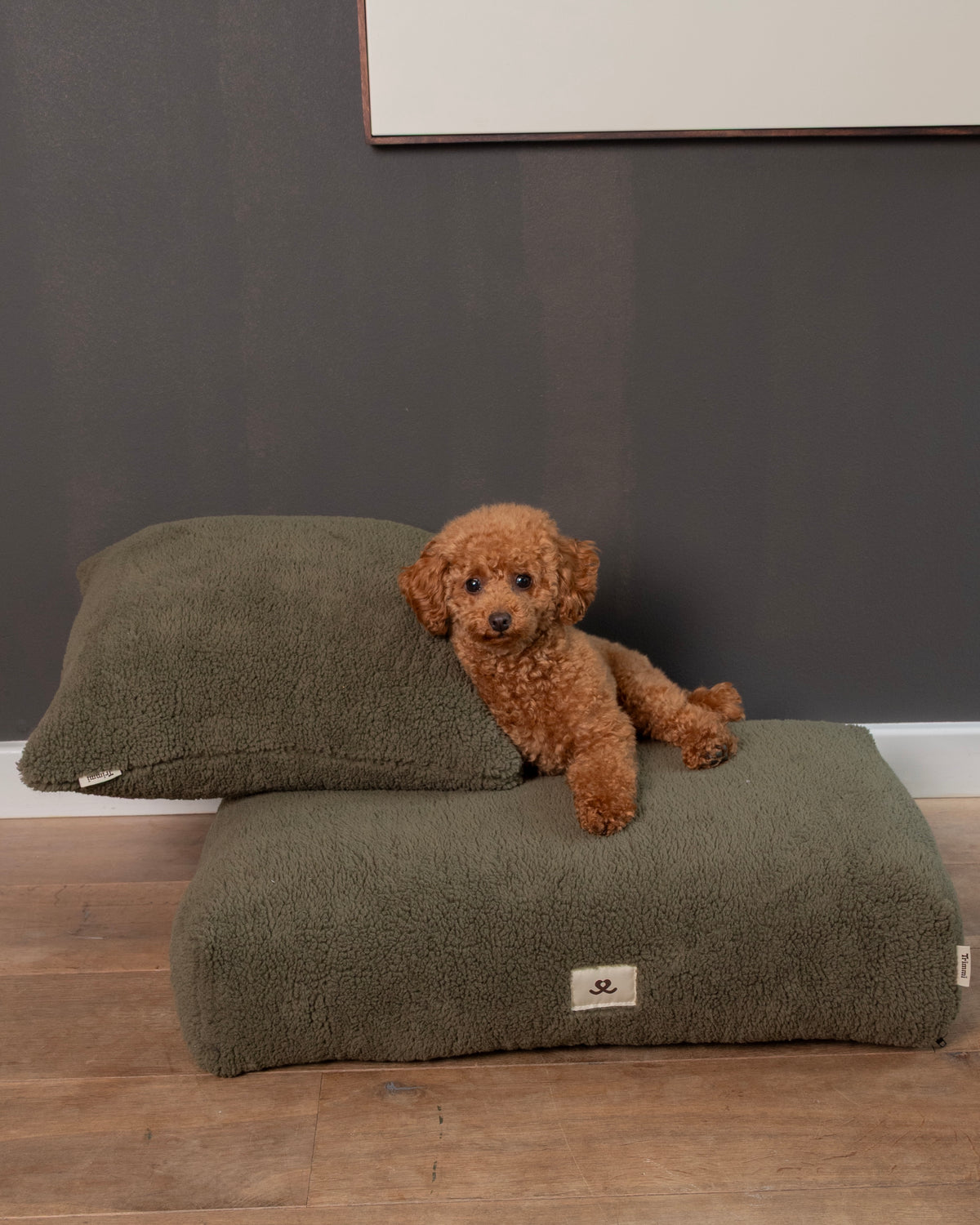 Interieur kussen teddy olive