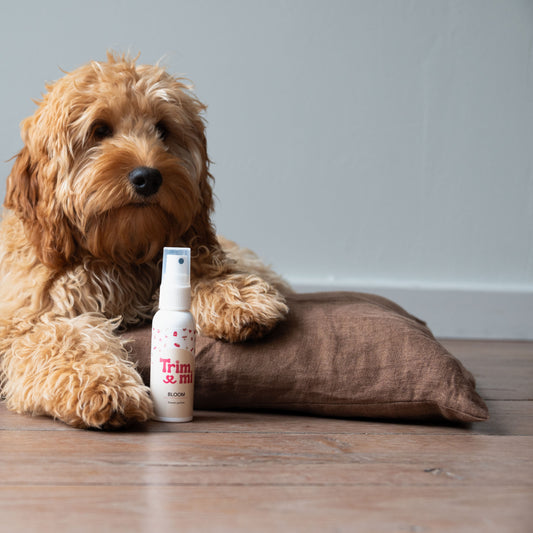 Trimmi Default Title Trimmi Parfum Bloom