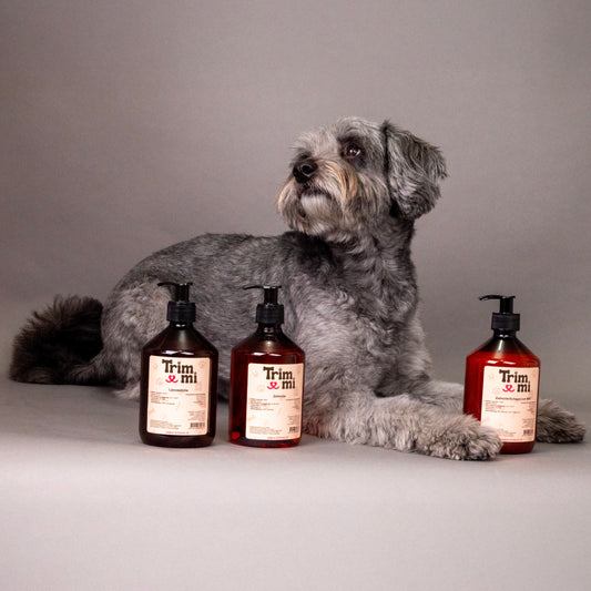 Salmon oil with sheep fat 500 ml