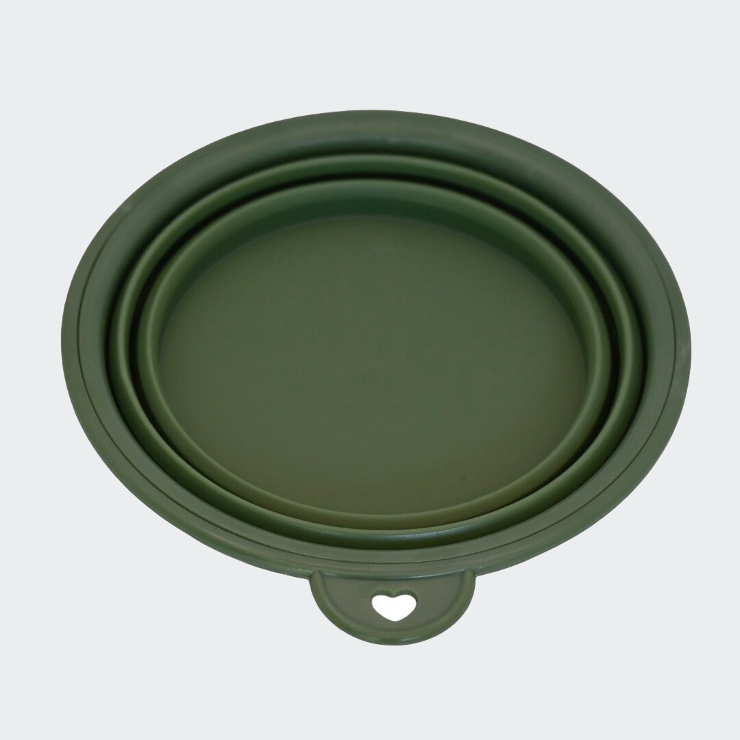 Food/water bowl on the go