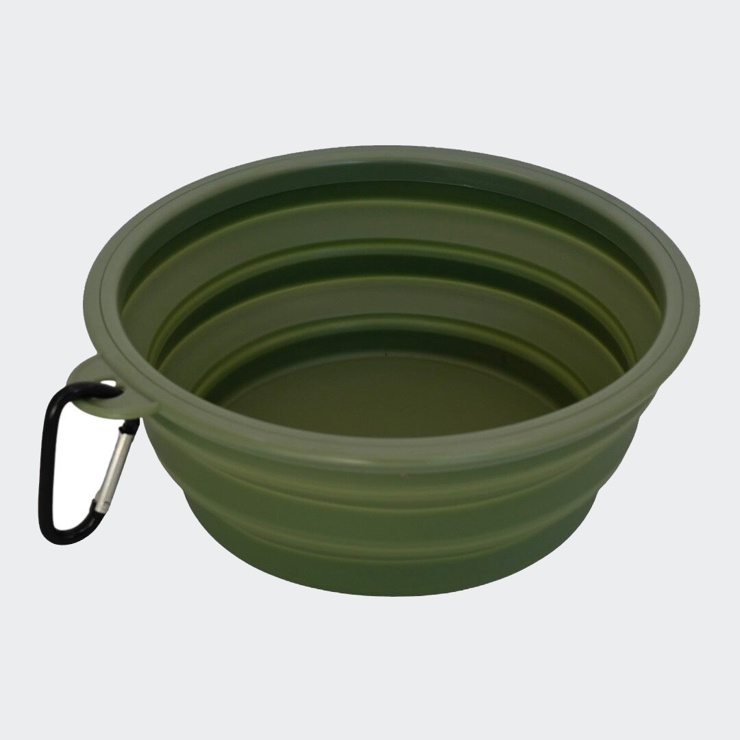 Food/water bowl on the go