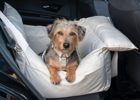 Honden autostoel: veilig met je hond op pad