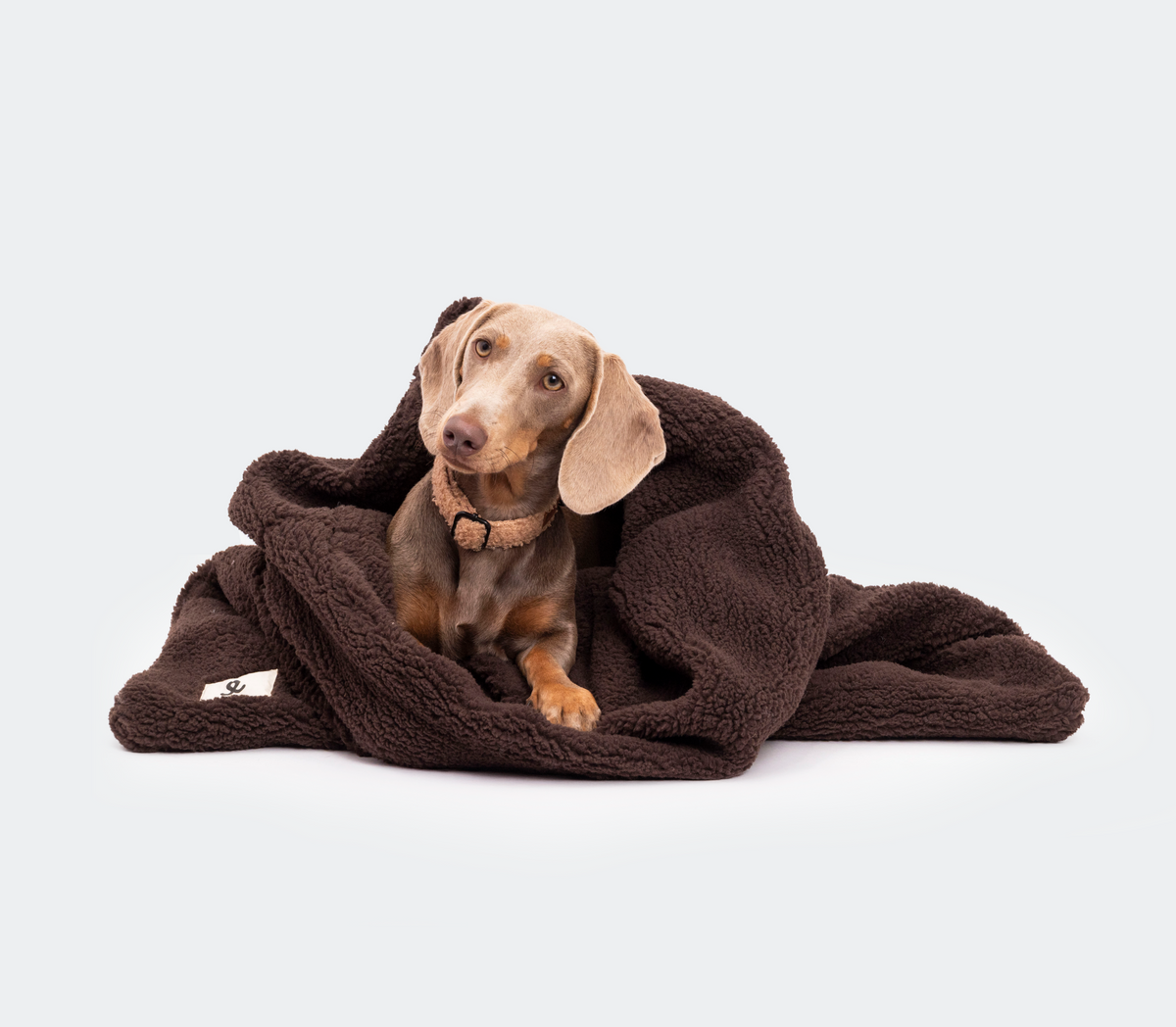 Comfortabele slaapplekken voor je hond, passend in ieder interieur