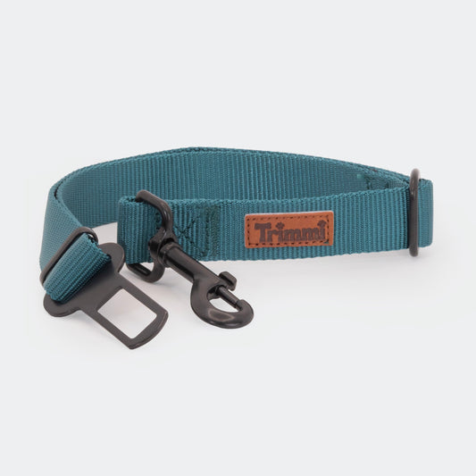 Nylon autogordel petrol