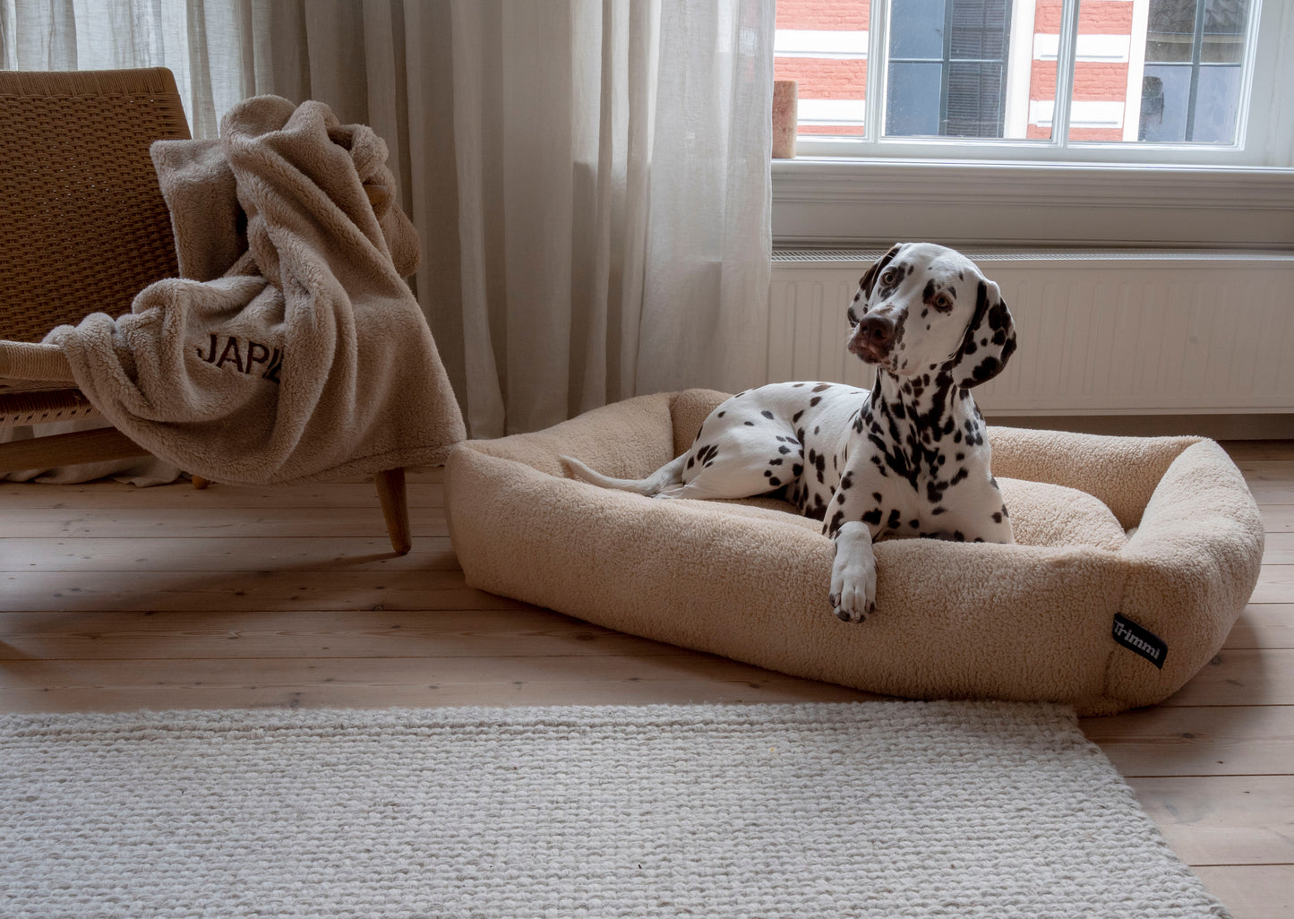 Teddy dog ​​bed