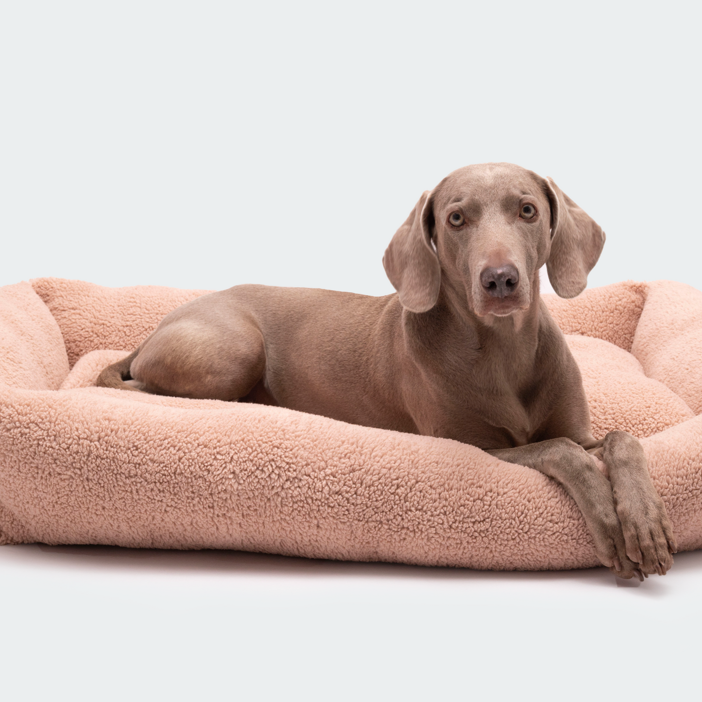 Hundebett Teddy rosa