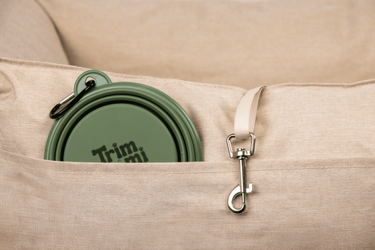 Food/water bowl on the go