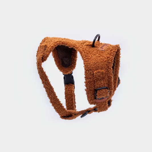 Teddy harness brown