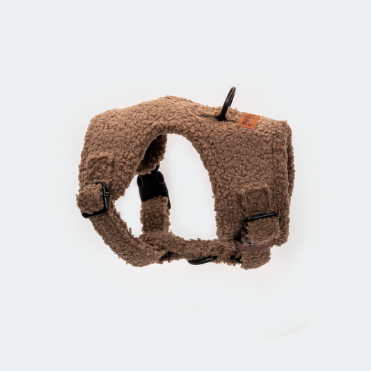 Teddy harness brown