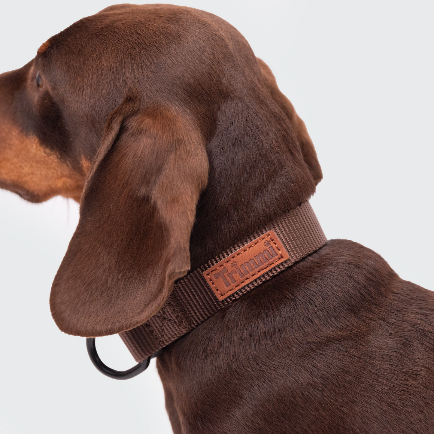 Nylon halsband bruin