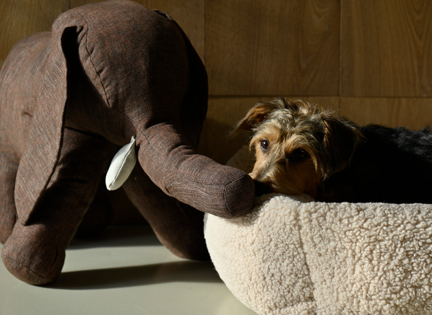 Elefant