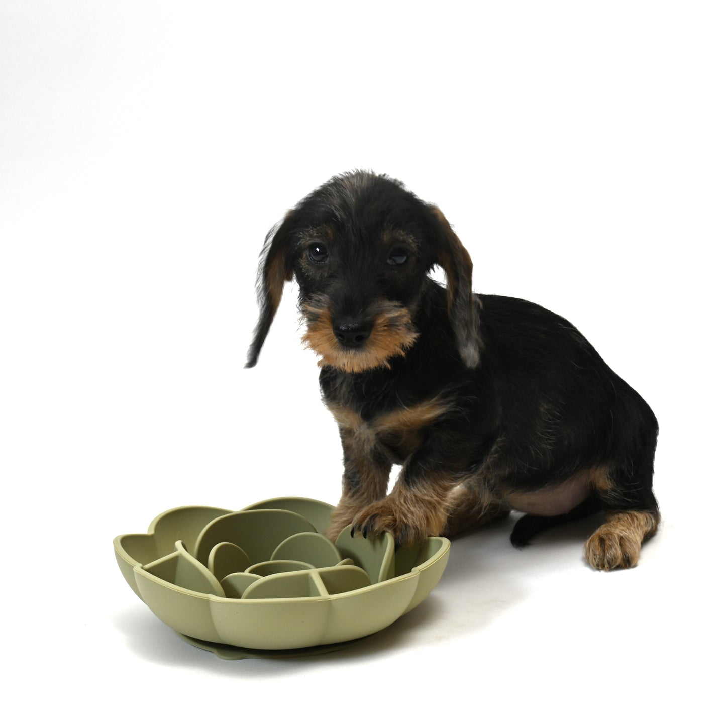 Trimmi Groen Trimmi Slowfeeder Roos
