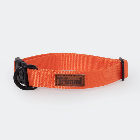 Nylon halsband oranje