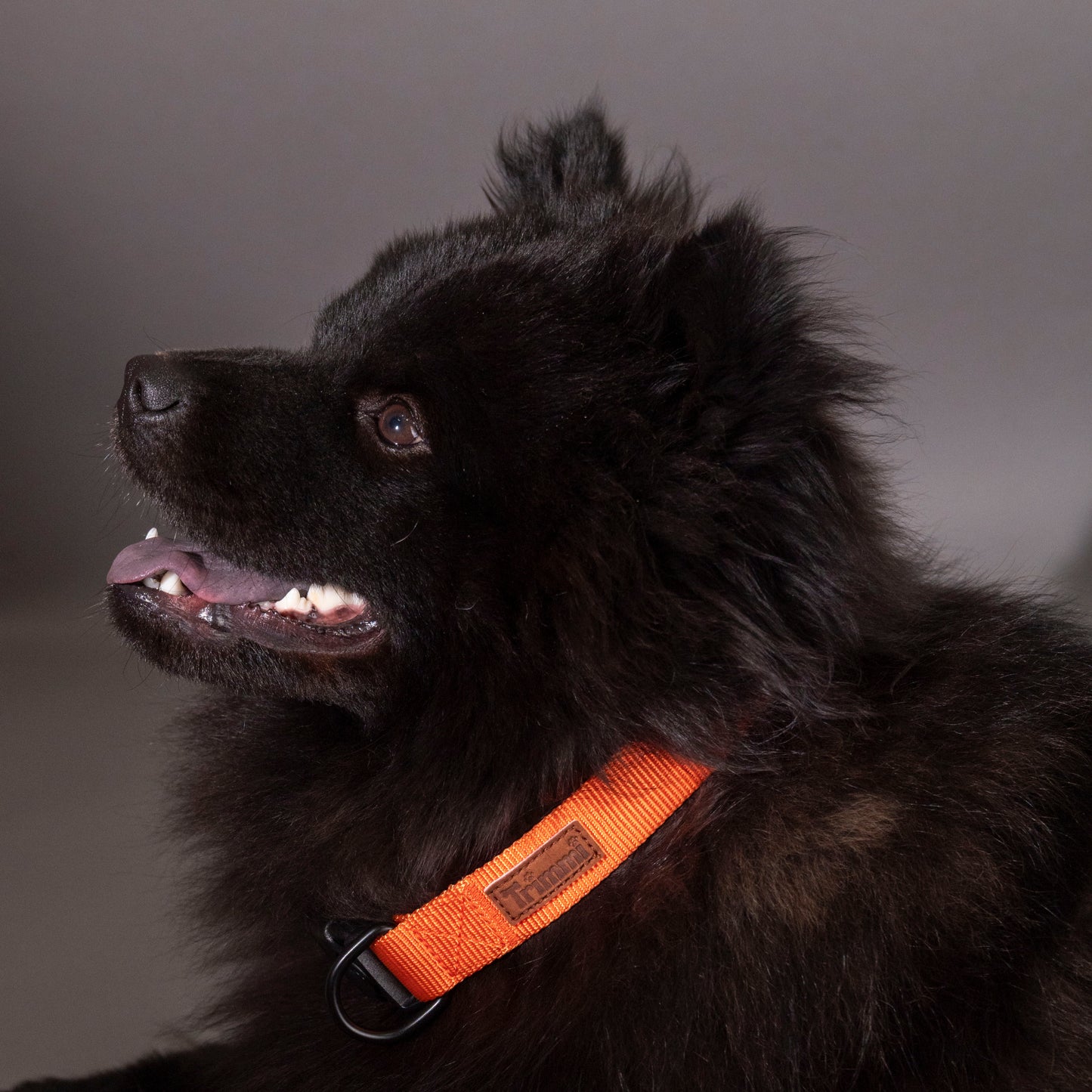 Nylon halsband oranje