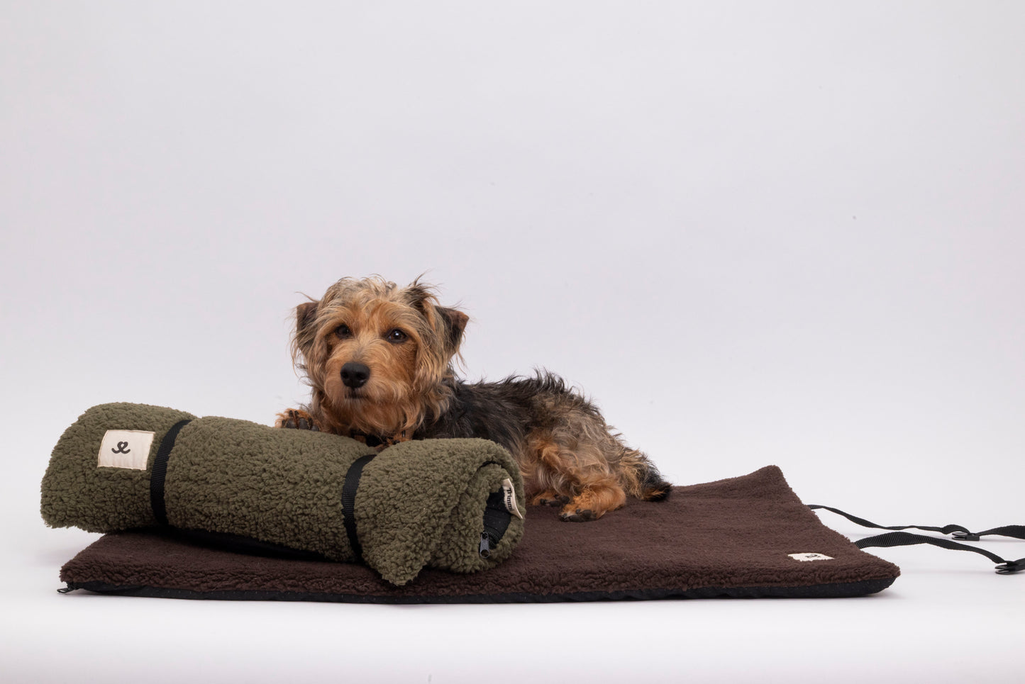 Teddy reiskleed olive
