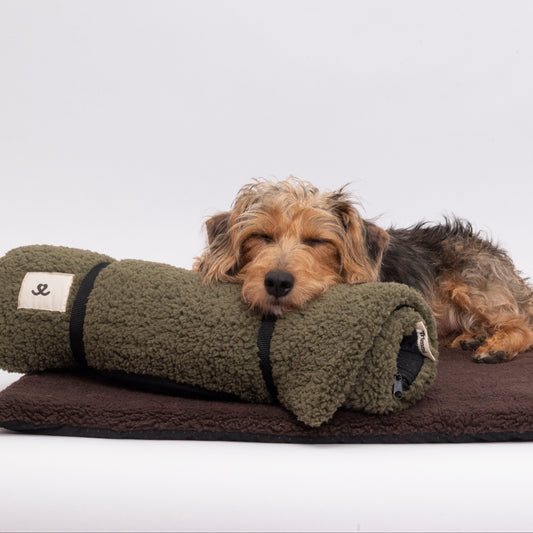 Travel dog bed olive