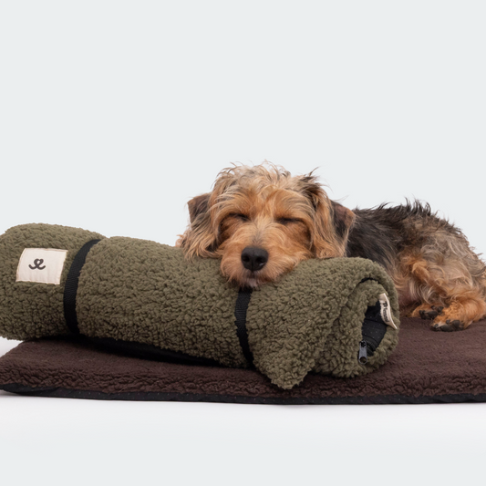 Travel dog bed olive